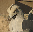 دوستان عزيزم 