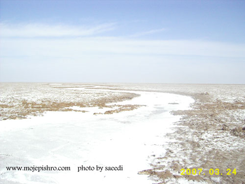 دشت کویر